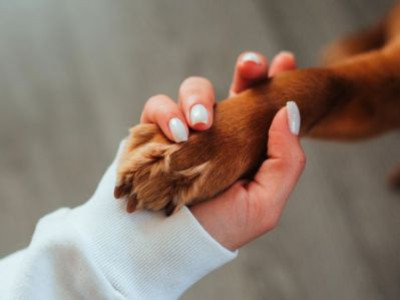 Personalised Dog Gifts: The Keyring They'll Keep Using